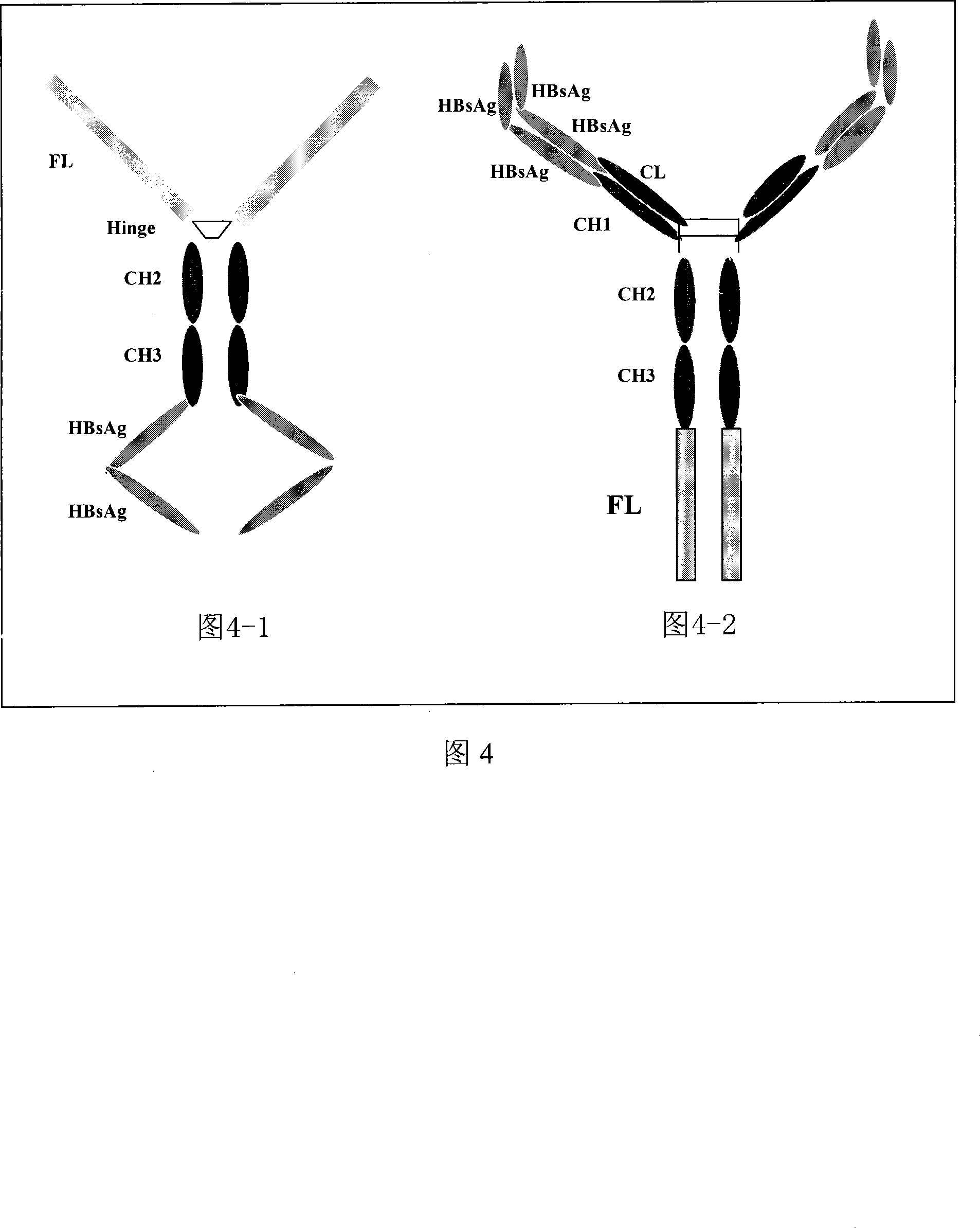 Hepatitis B fusion protein multiva lentvaccine, preparation method and uses thereof