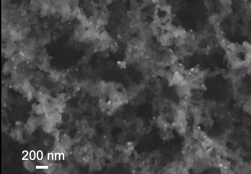 Iron-nitrogen-doped graphene porous material with dual-site catalytic oxygen reduction activity, and preparation method and application therefor