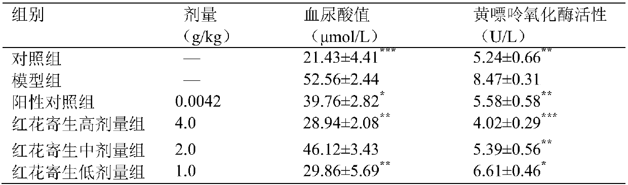 Application of flos carthami parasite in preparing drug or healthcare product preventing and treating gout