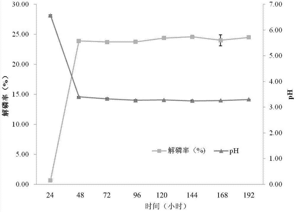 Pantoea for degrading organic phosphorus and inorganic phosphorus and application of pantoea