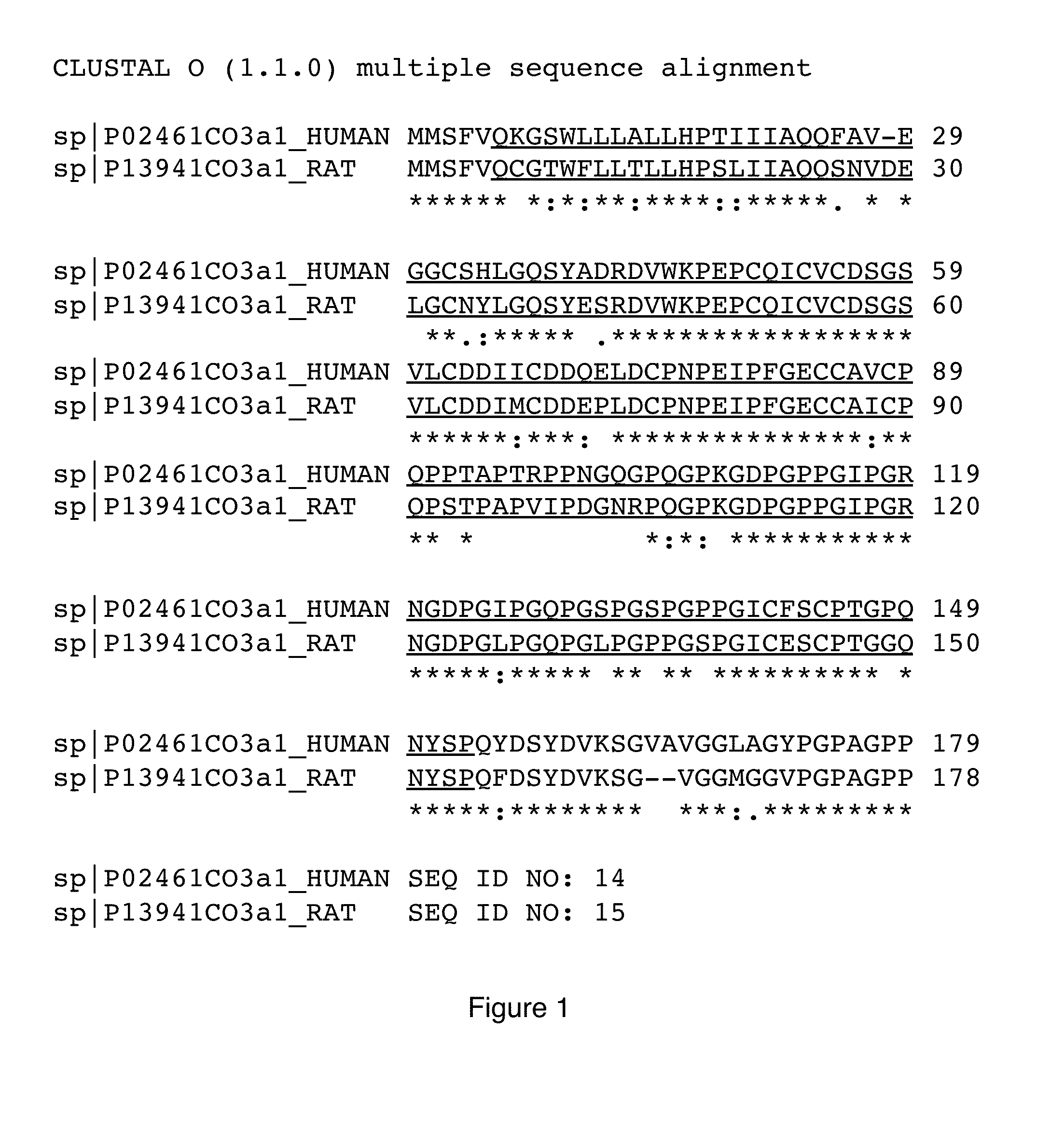 PIIINP Neo-epitope Assay