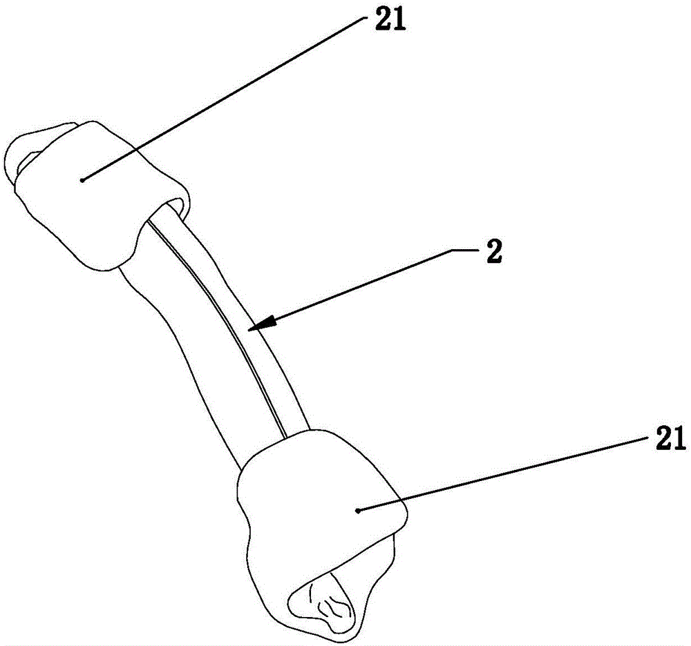 Chewable meat, fruit and vegetable pet food and processing method thereof