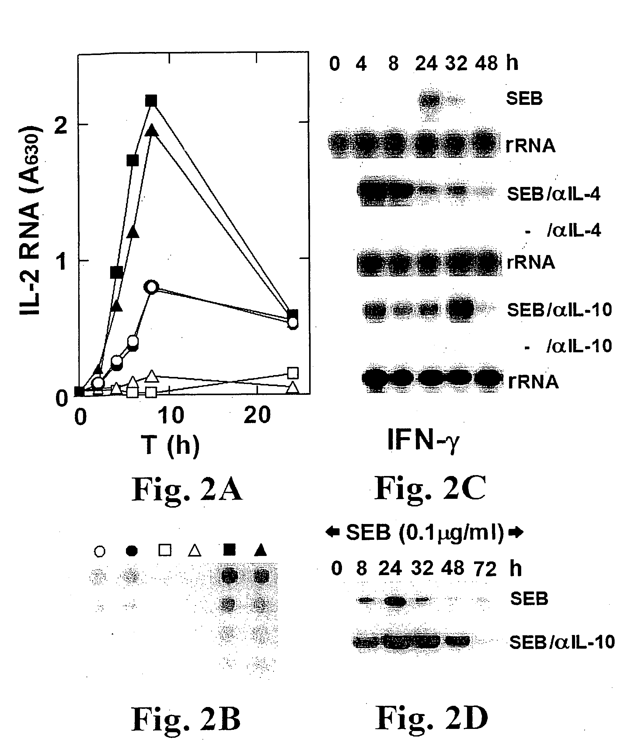 Broad-spectrum in-vivo effective superantigen toxin antagonists based on the interaction between CD28 and the superantigen and uses thereof