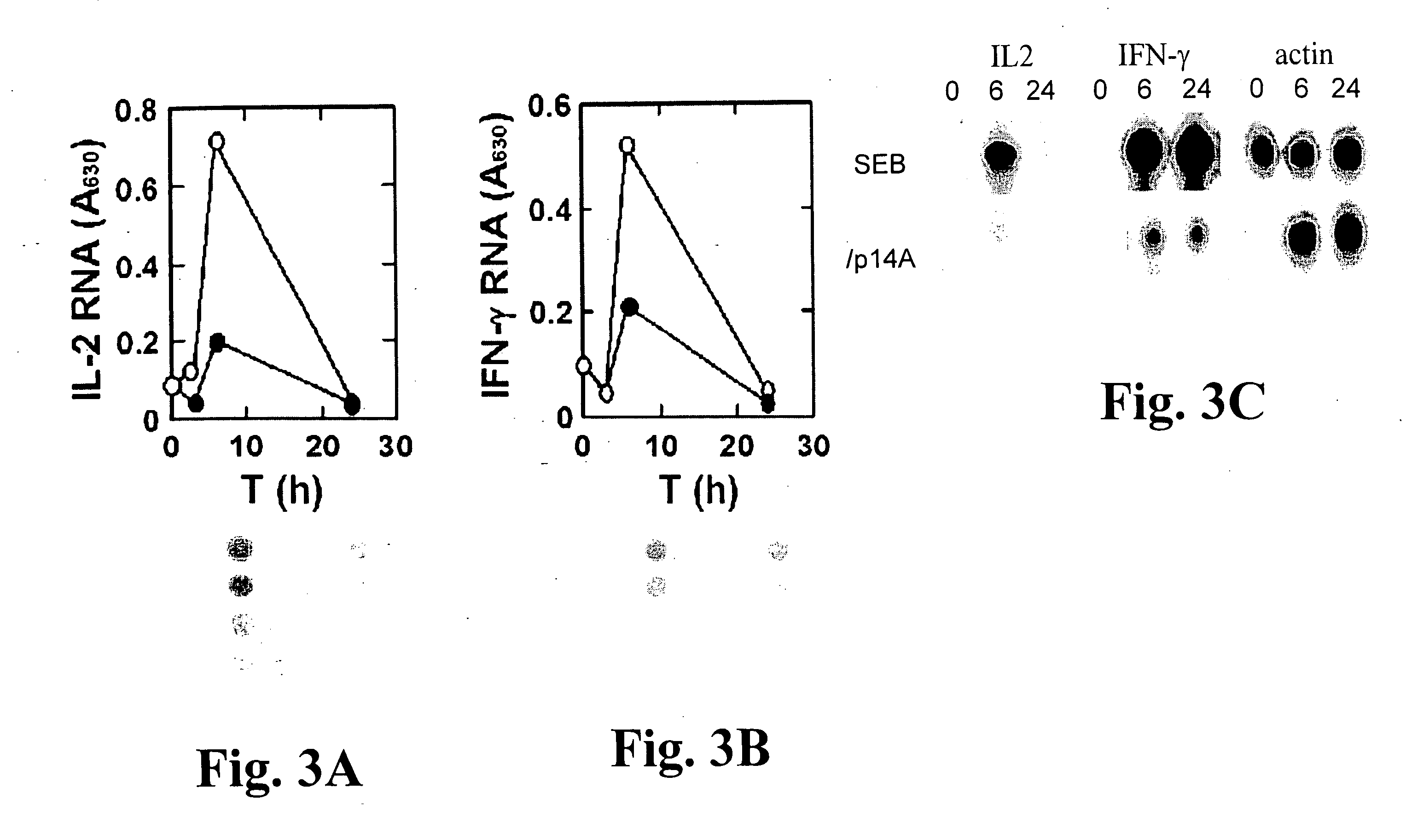 Broad-spectrum in-vivo effective superantigen toxin antagonists based on the interaction between CD28 and the superantigen and uses thereof