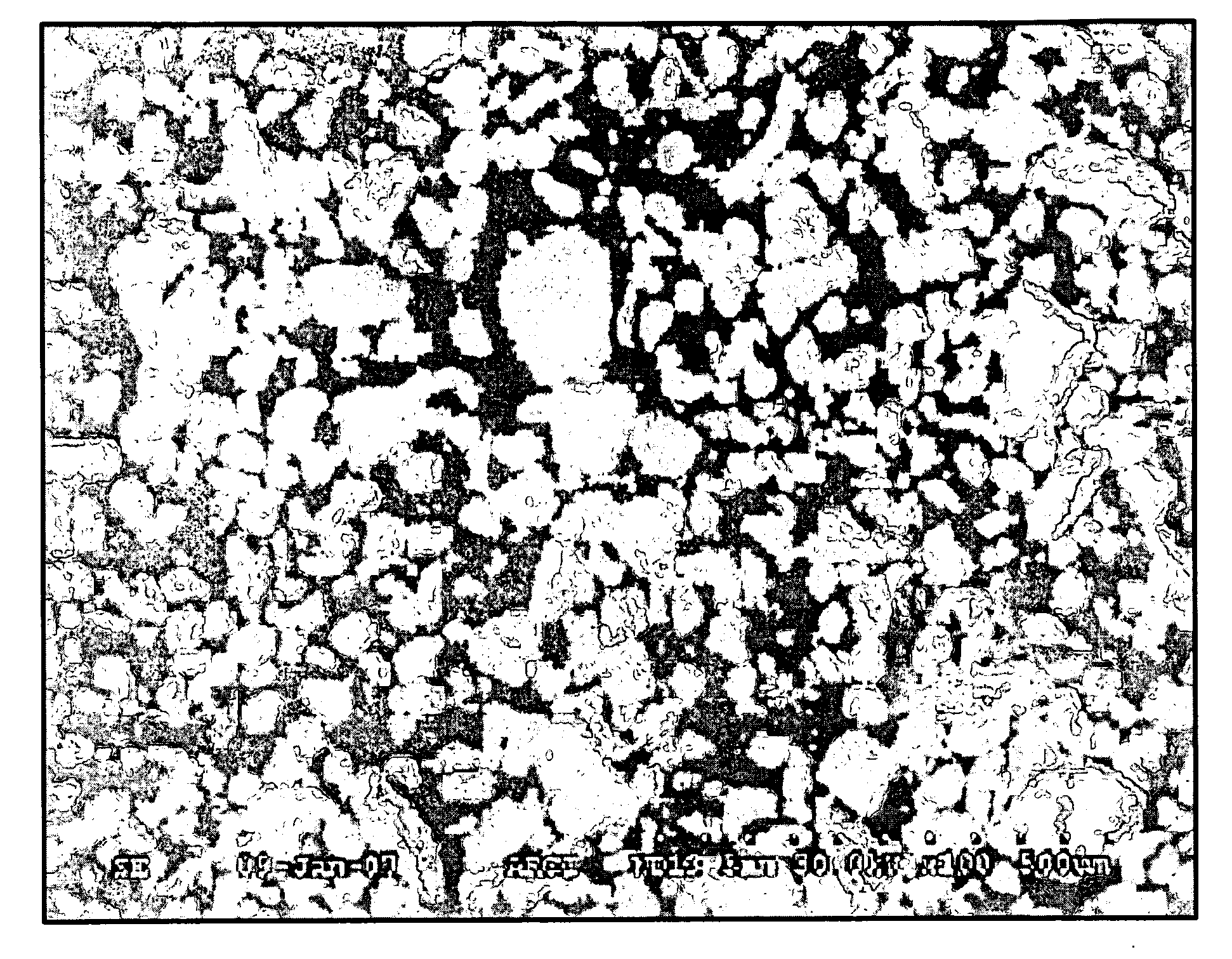 Processing of powders of a refractory metal based alloy for high densification