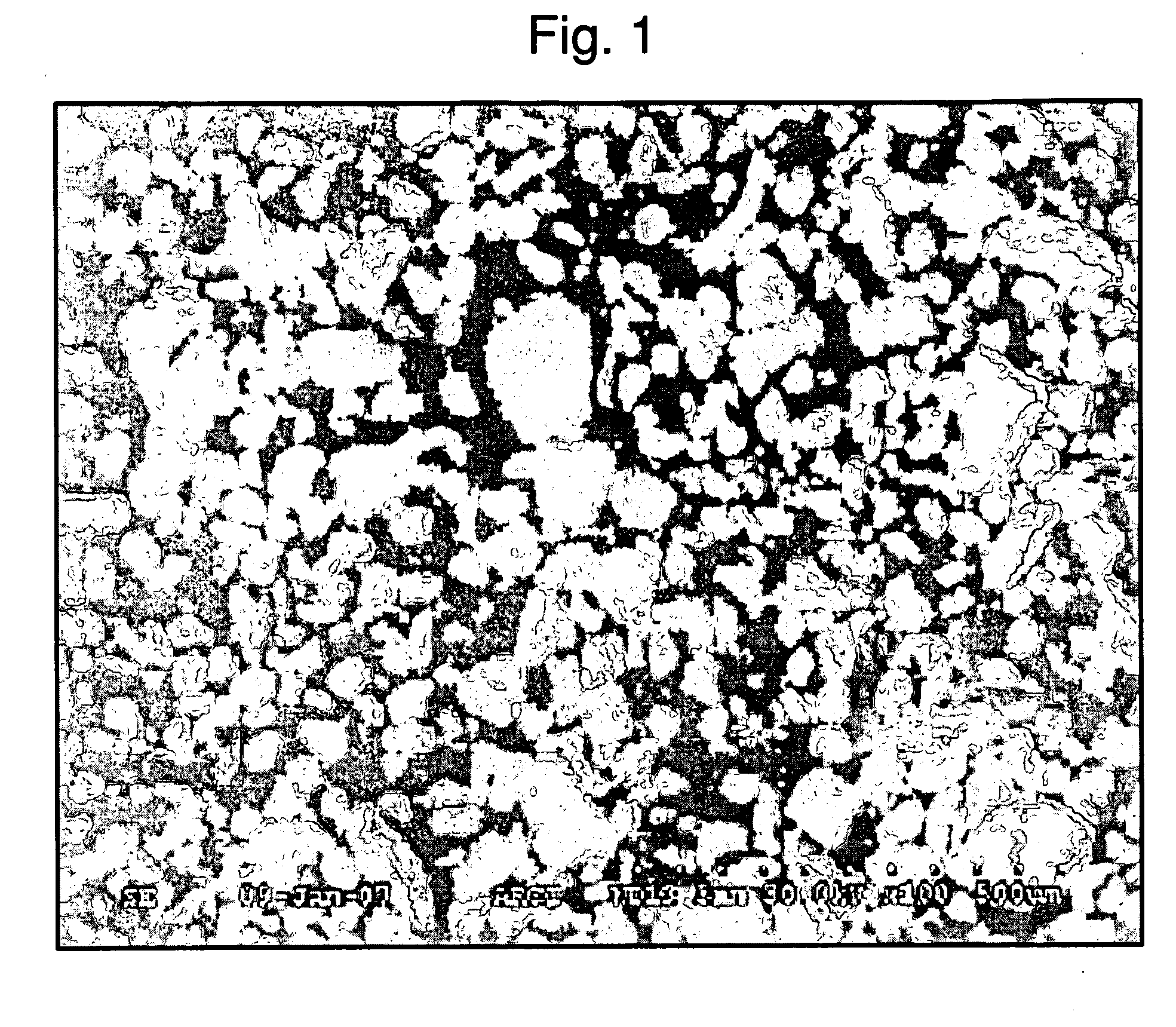 Processing of powders of a refractory metal based alloy for high densification