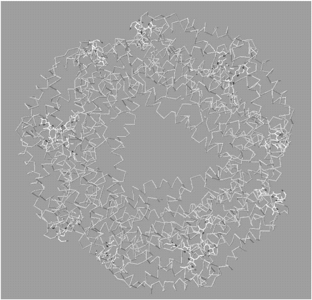 Thermophilic C-phycocyanin and method for extracting thermophilic C-phycocyanin from synechococcus cyanobacteria