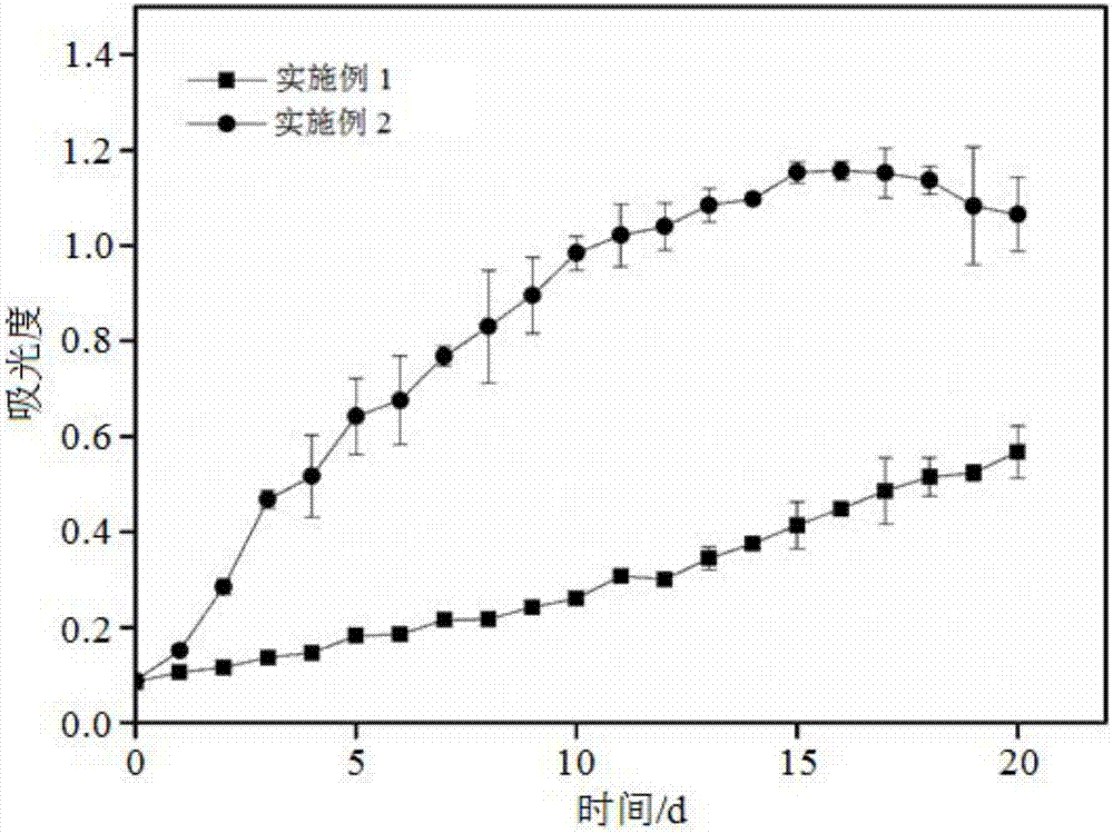 Thermophilic C-phycocyanin and method for extracting thermophilic C-phycocyanin from synechococcus cyanobacteria