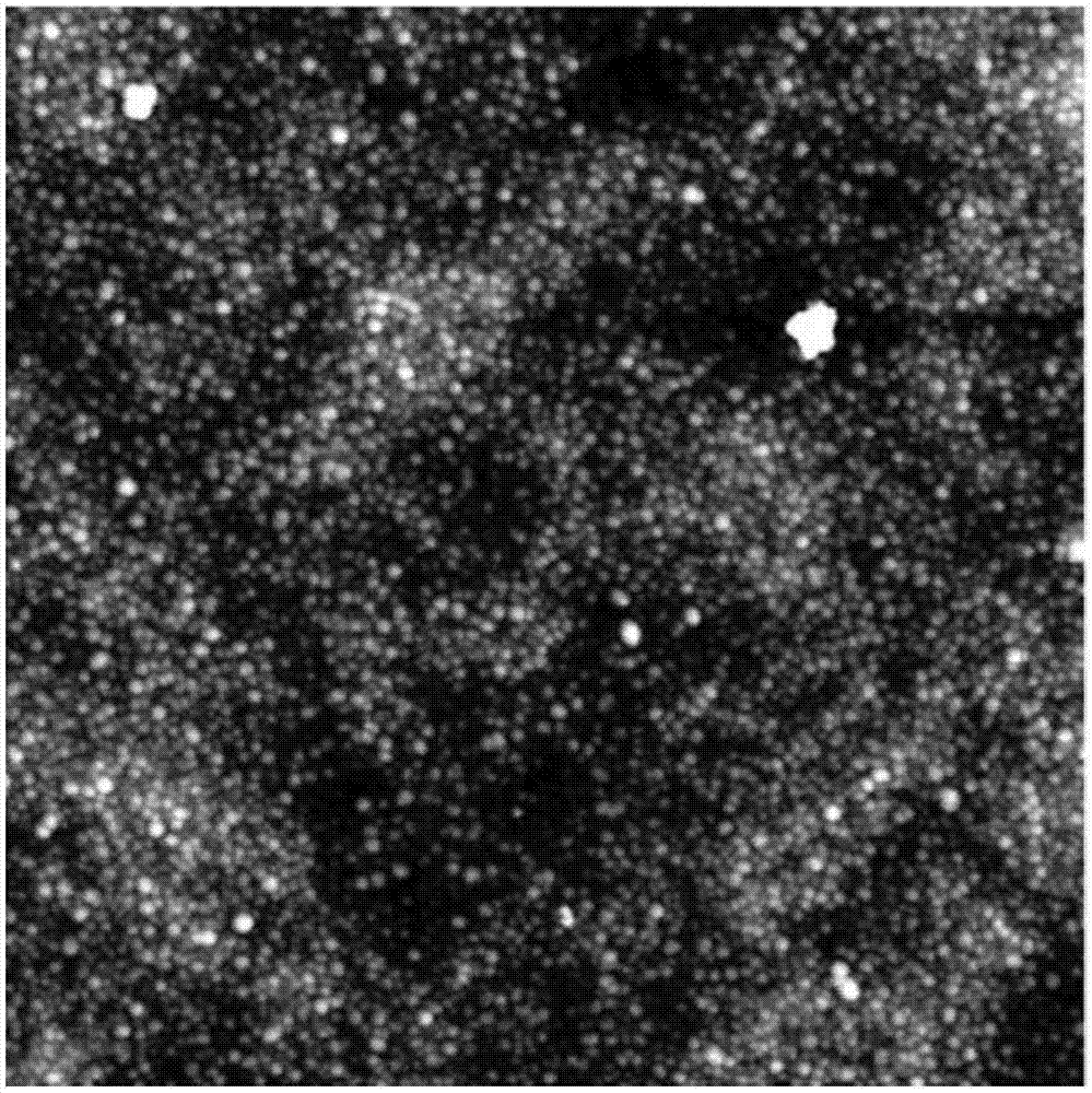 Composite nano filtration membrane with high selectivity on removing divalent ions and preparation method thereof