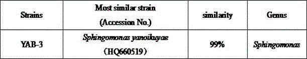 Strain YAB-3 for degrading PFOA (perfluorooctanoic acid) and application thereof