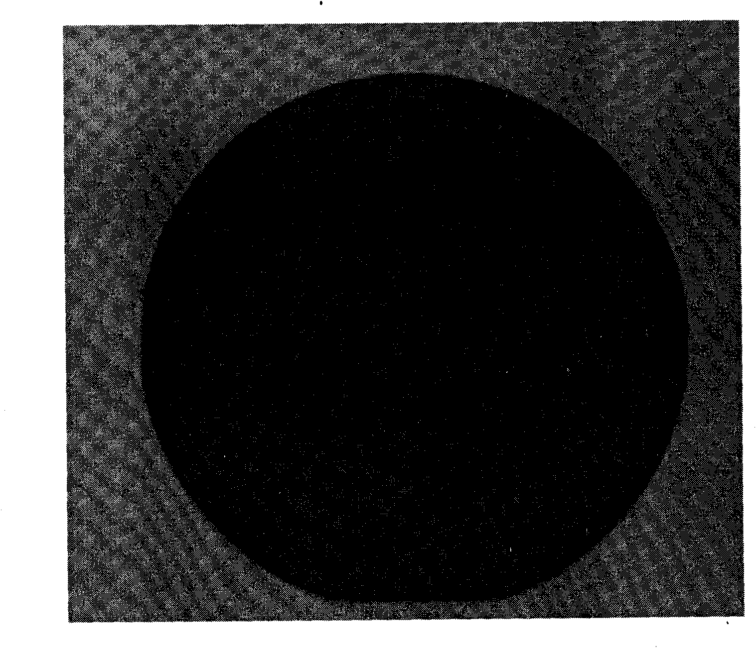 Method for processing lithium niobate or lithium tantalate wafer