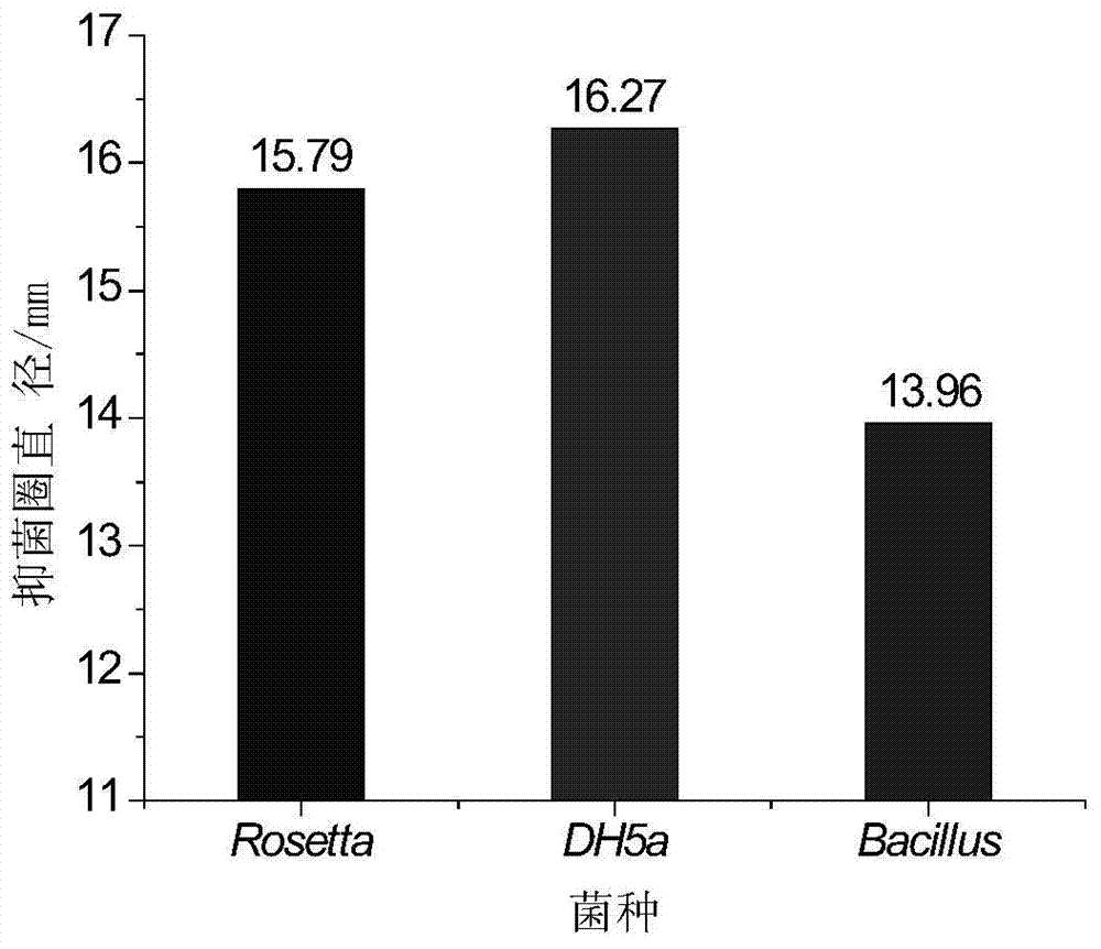 Quaternized chitosan HTCC/CA/TiO2 hybrid membrane, and preparation method thereof