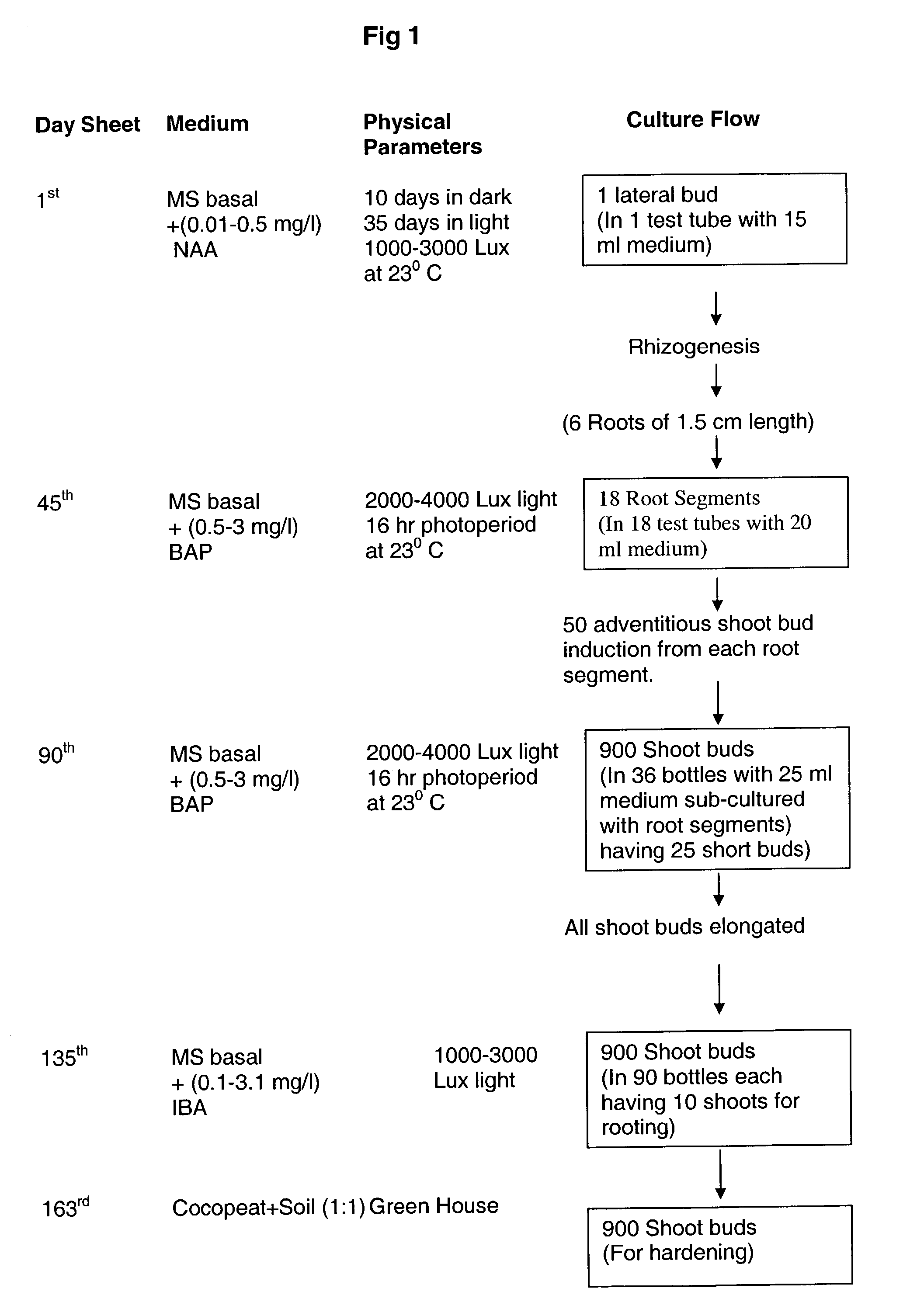 Efficient method of in-vitro micropropagation of piper longum