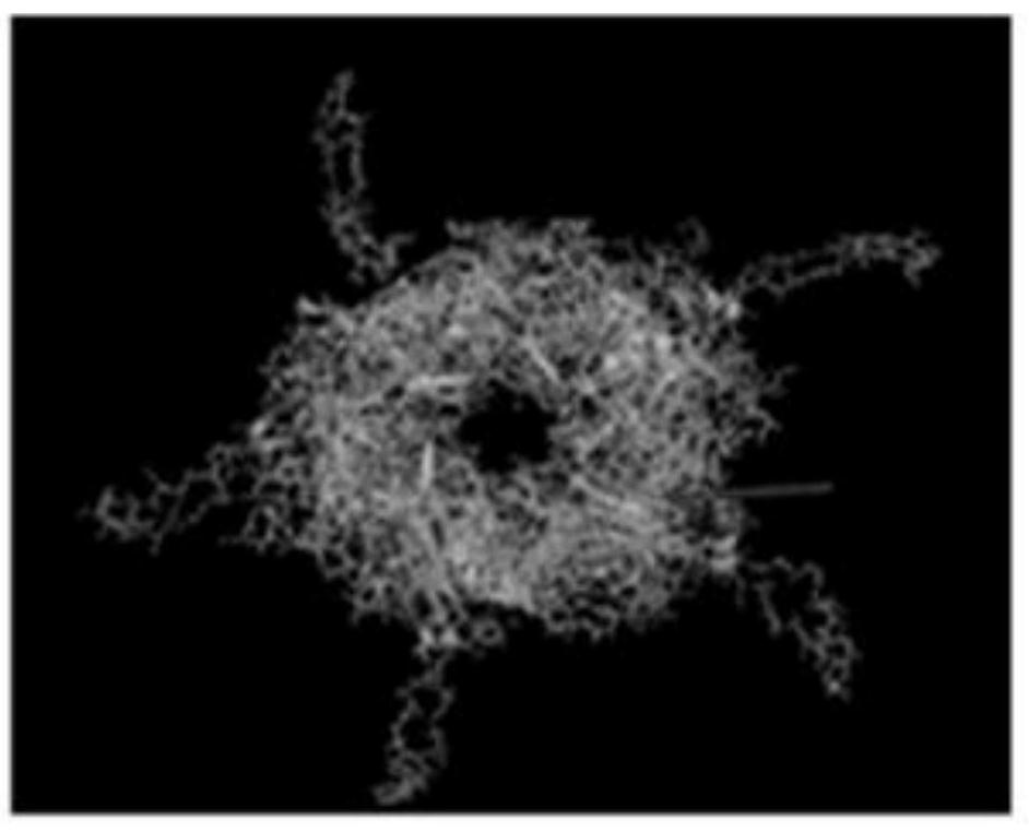 Recombinant vector, recombinant protein and virus-like particle of human papilloma virus 16-type epitope chimeric L1 as well as preparation and application thereof