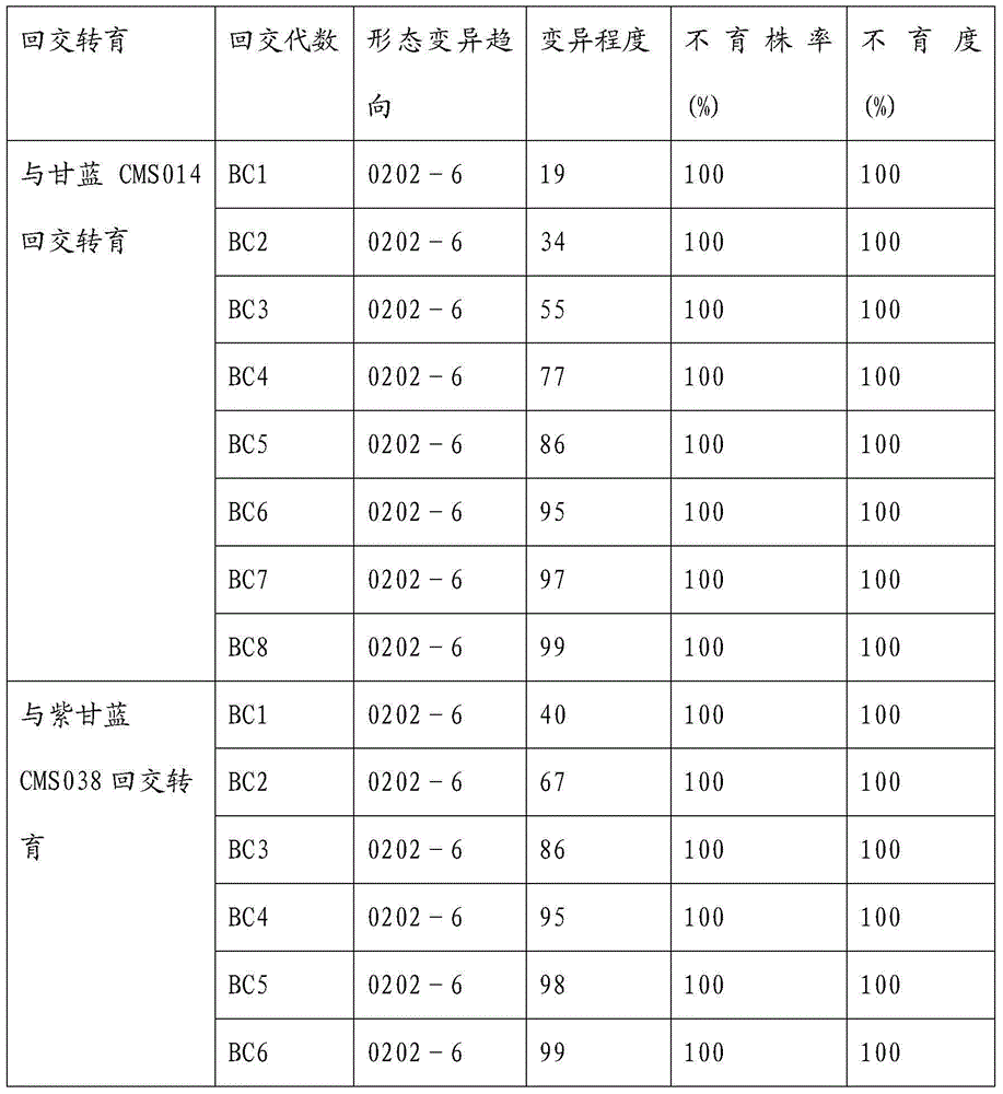 Breeding and cultivating method for early-matured and disease-resistant brassica oleracea