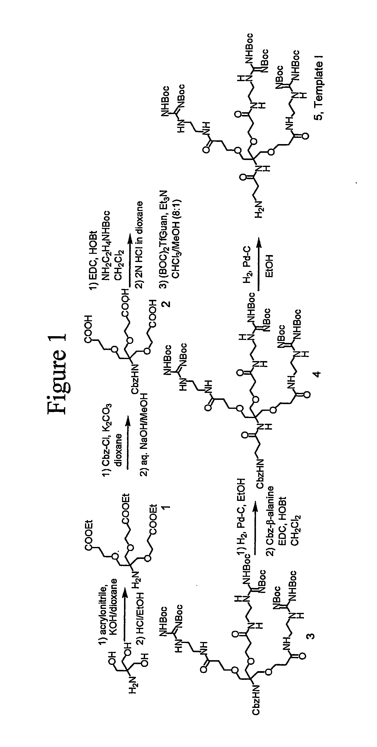 Dendrimers as molecular translocators