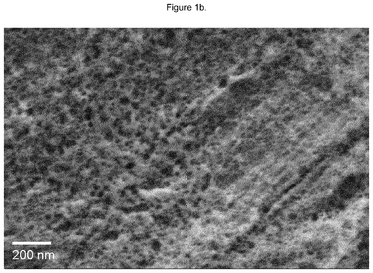 Zirconium and titanium phosphate coatings for implants and other substrates