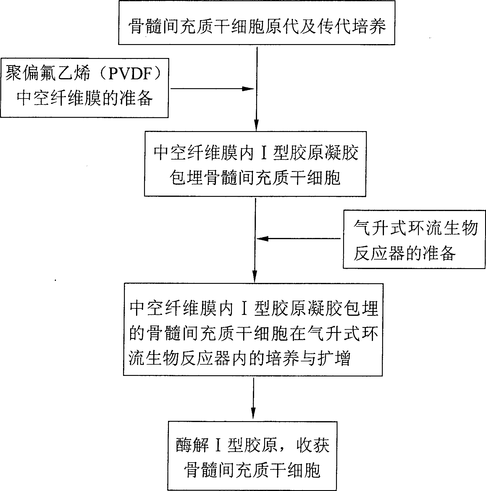 Method for amplifying mensenchymal stem cell under three-dimensional dynamic condition