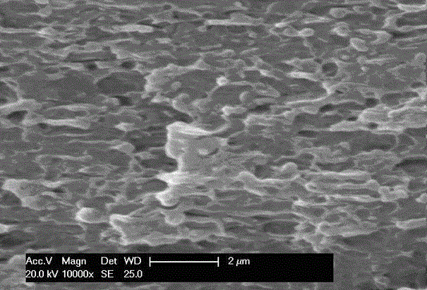 A kind of microporous pc/abs alloy and preparation method thereof