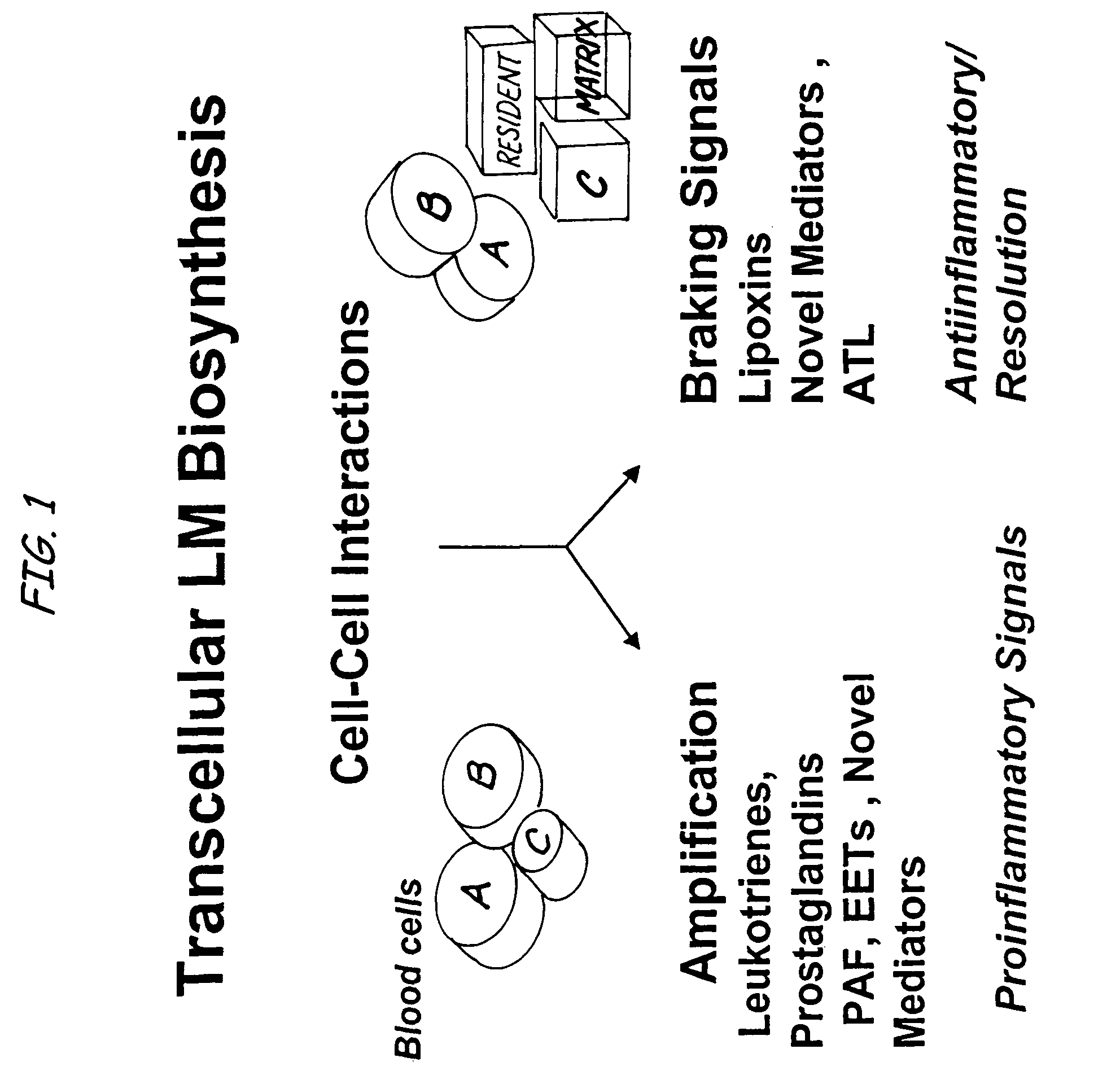 Aspirin-triggered lipid mediators