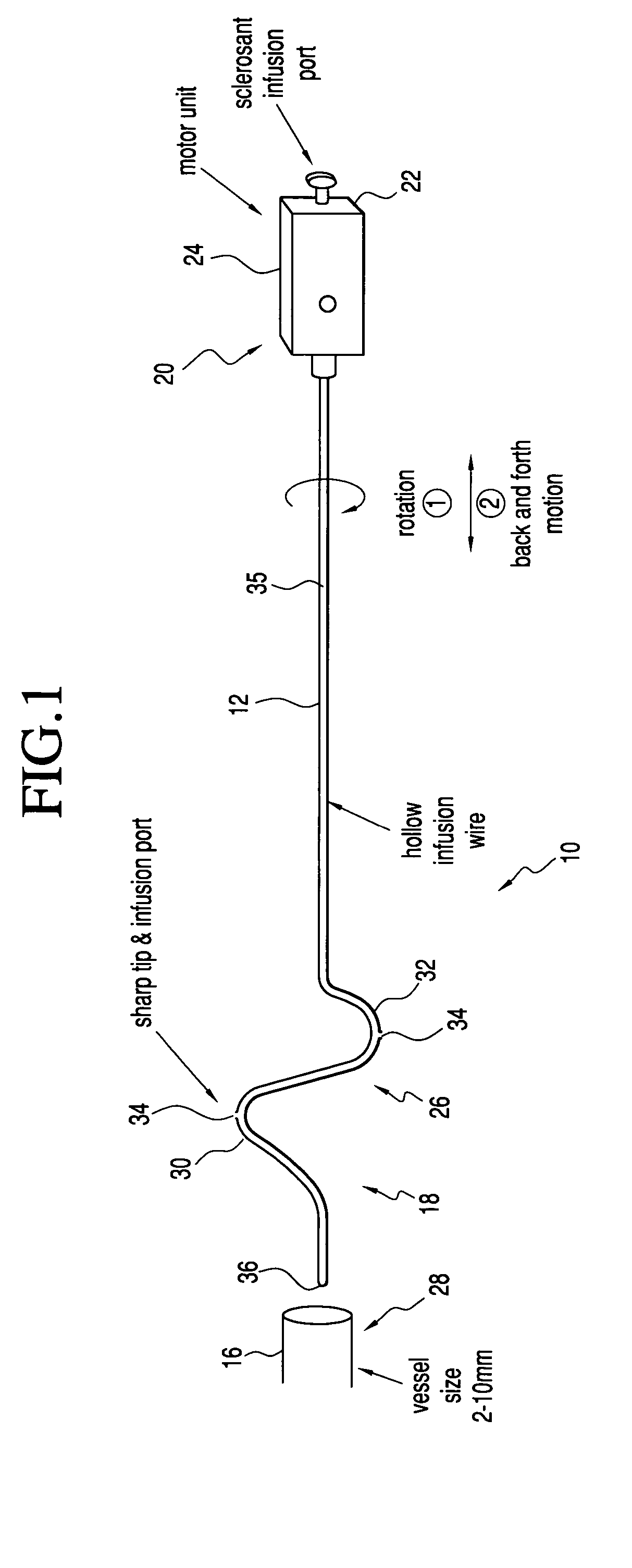 Vascular ablation apparatus and method