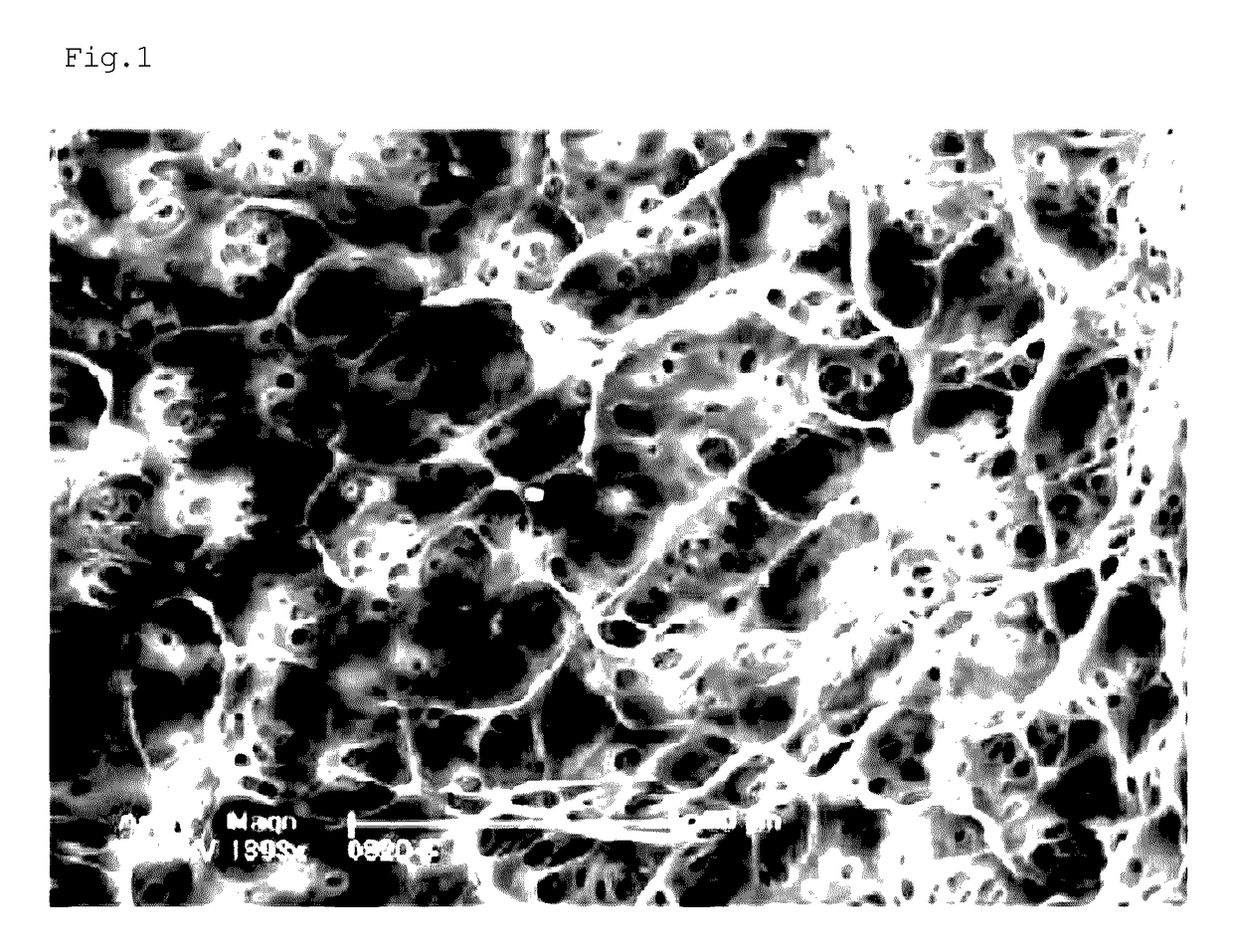 Method for producing a bone transplant material, and bone transplant material produced by same