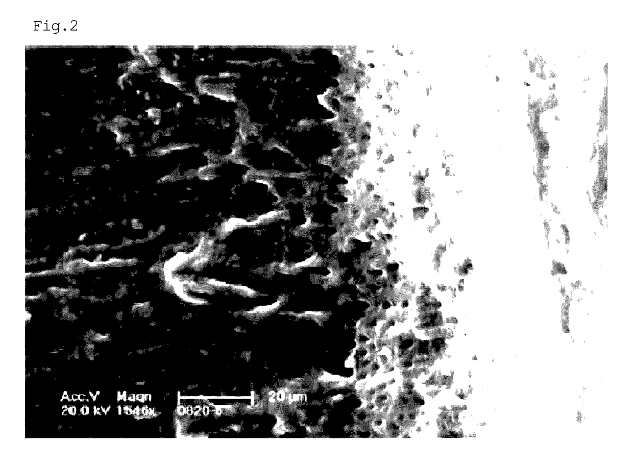 Method for producing a bone transplant material, and bone transplant material produced by same