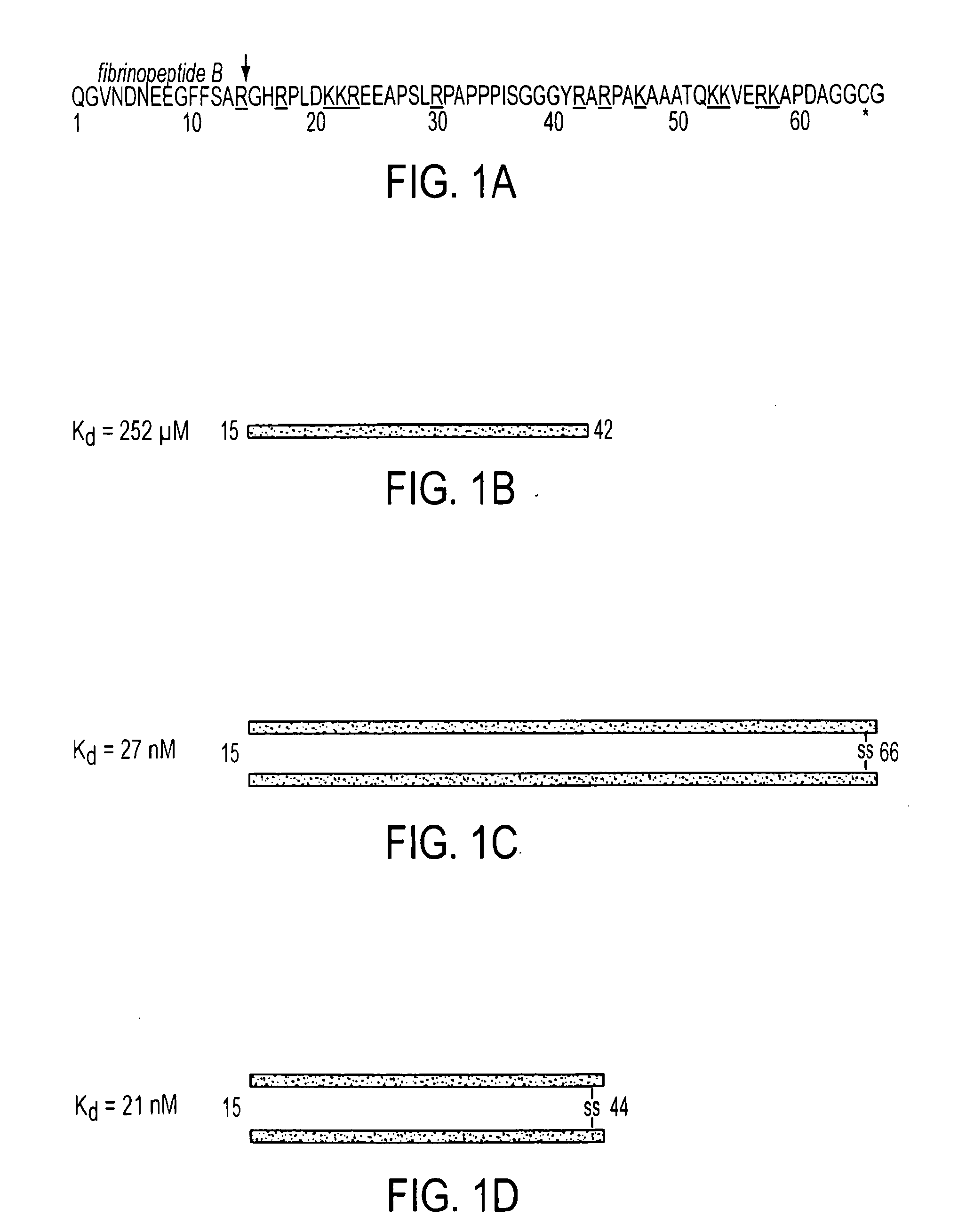 Compositions and Methods Utilizing Fibrin Beta Chain Fragments