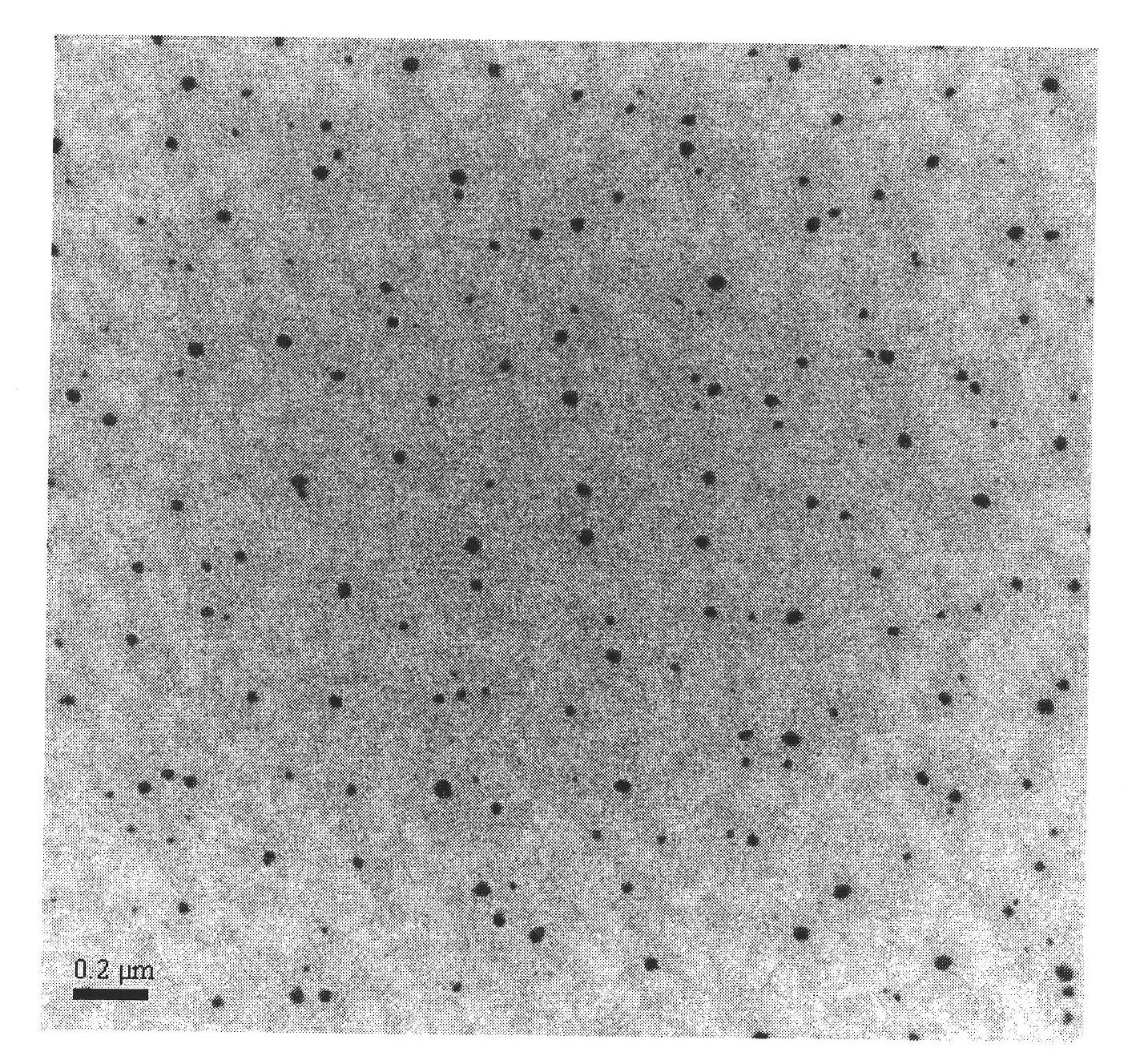 Compound Tilmicosin nanoemulsion antibacterial agent and preparation method thereof