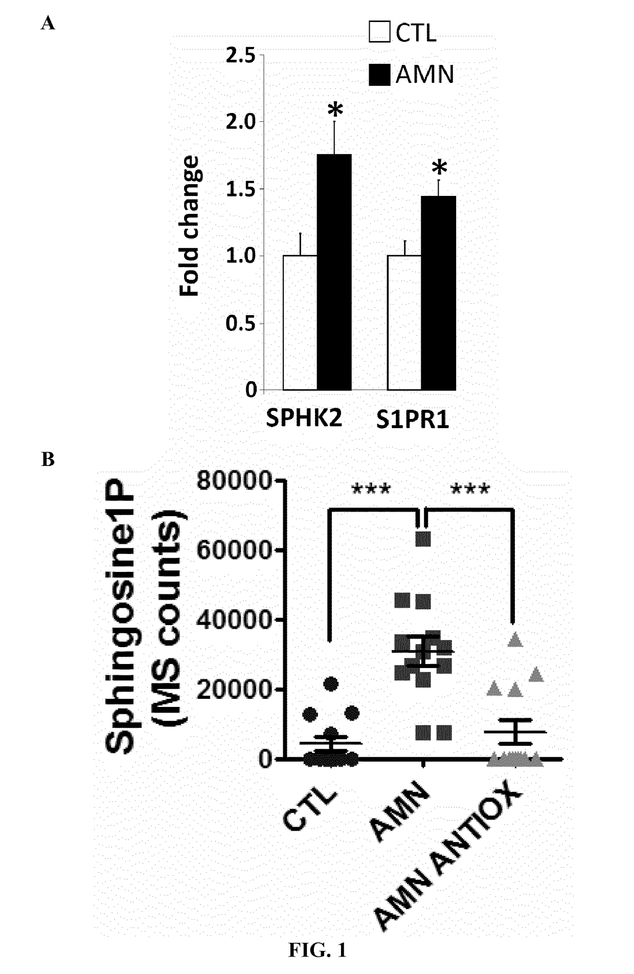 Methods and compositions   for the diagnosis and for the treatment of adrenoleukodystrophy