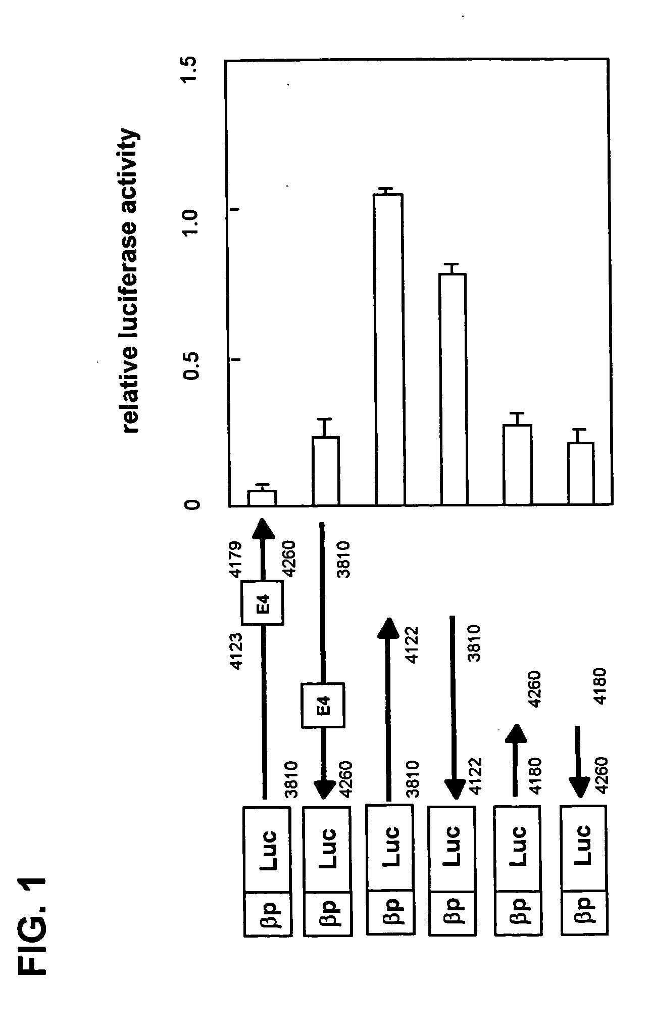 Regulation of expression of high-affinity immunoglobulin e (ige) receptor beta-chain