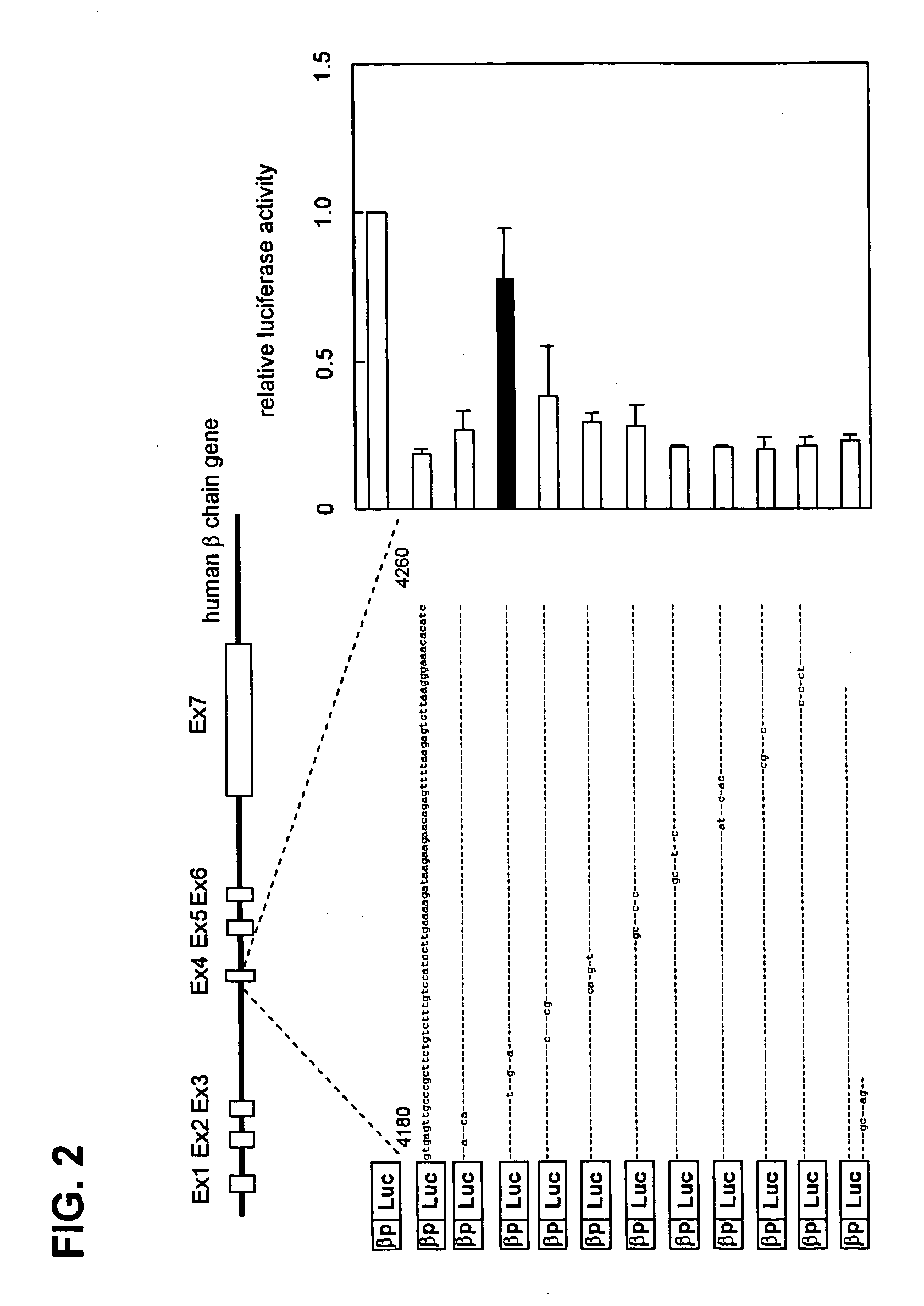 Regulation of expression of high-affinity immunoglobulin e (ige) receptor beta-chain