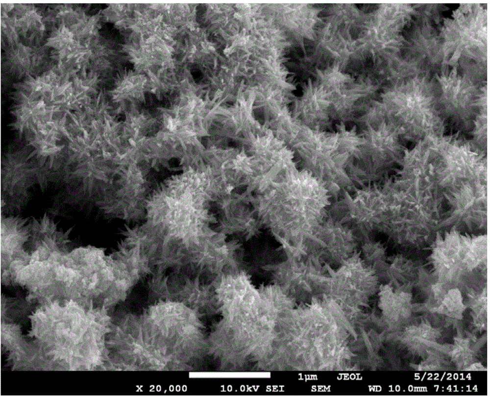 Flower-like nano-WO3/graphene composite gas-sensitive material and preparation method and application thereof