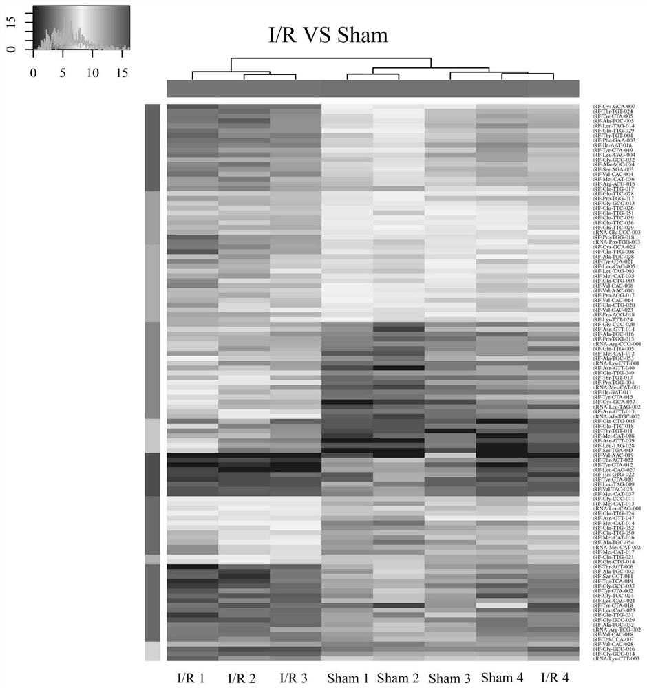 Screening method of tsRNA related to myocardial ischemia reperfusion