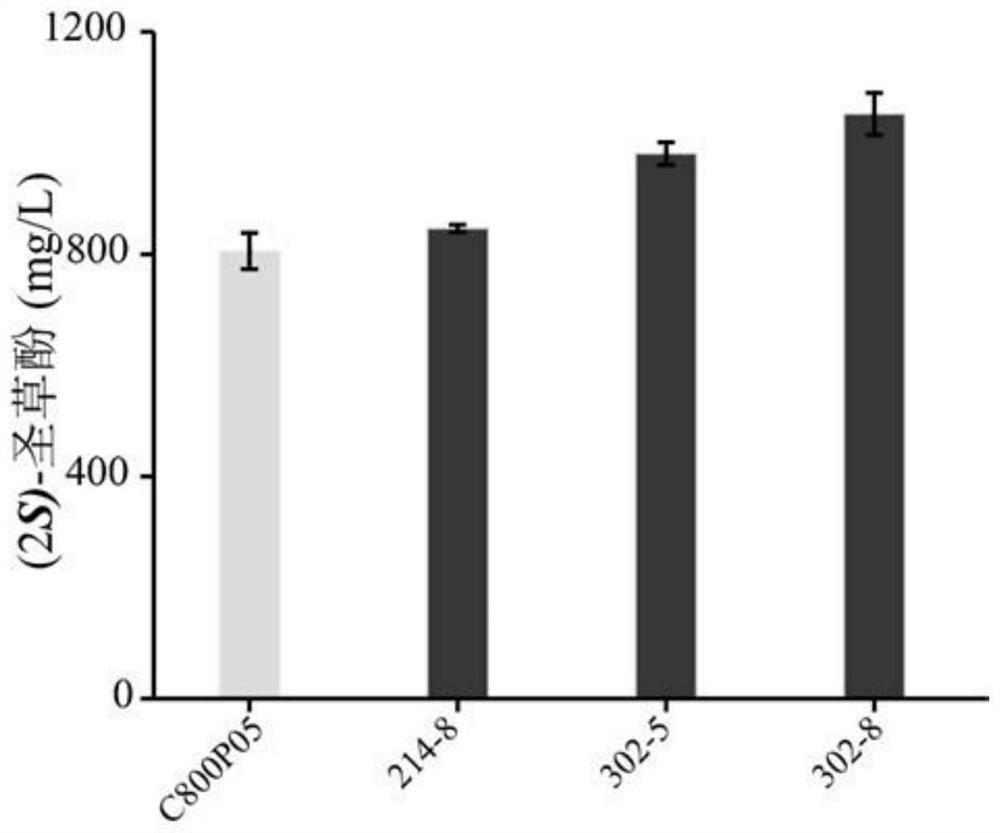 Flavone 3 beta-hydroxylase reductase coenzyme mutant and application thereof