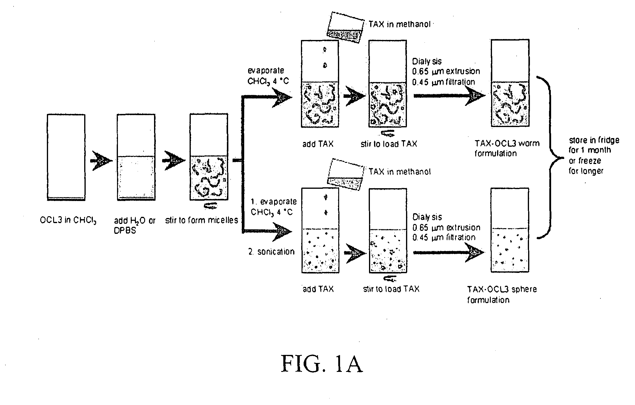 Method of Treating a Tumor and Biodistribution of a Drug Delivered by Worm-Like Filomicelles