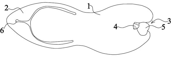 Slipper and machining method thereof