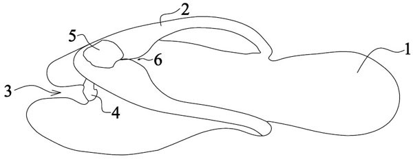 Slipper and machining method thereof