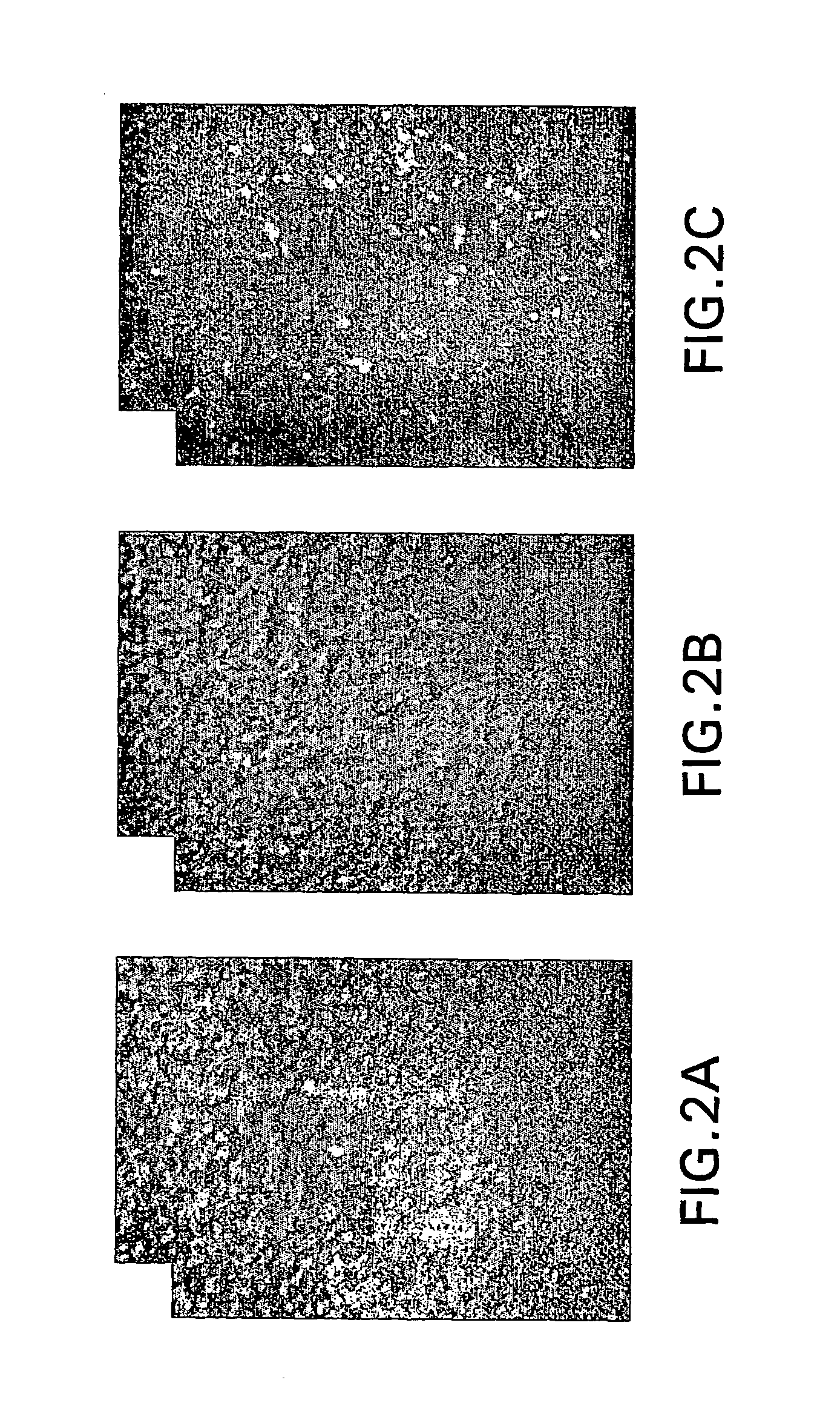 Methods of treatment of a bcl-2 disorder using bcl-2 antisense oligomers