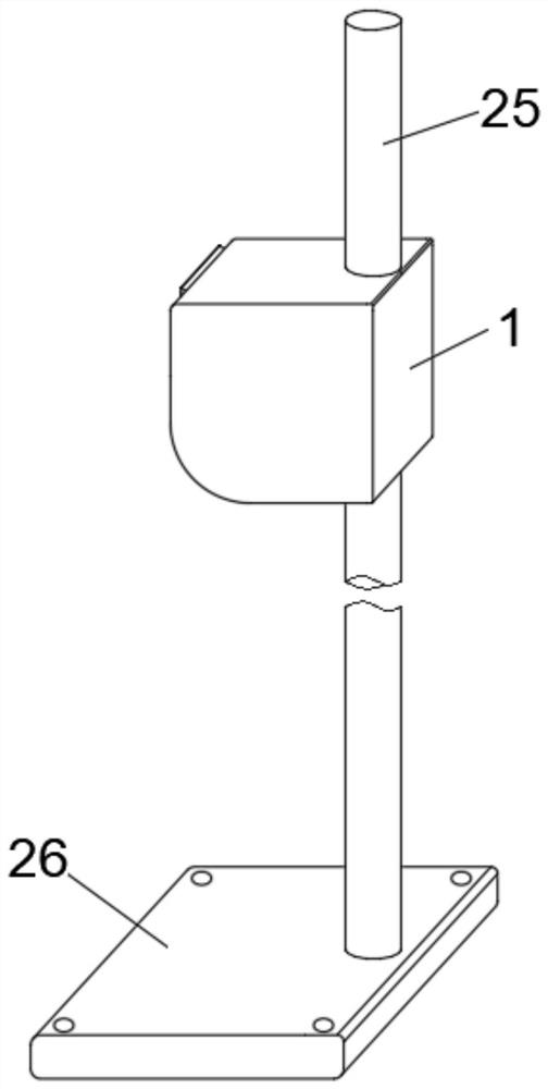 Fixing structure for grafting of tower crown elm and fixing method of fixing structure