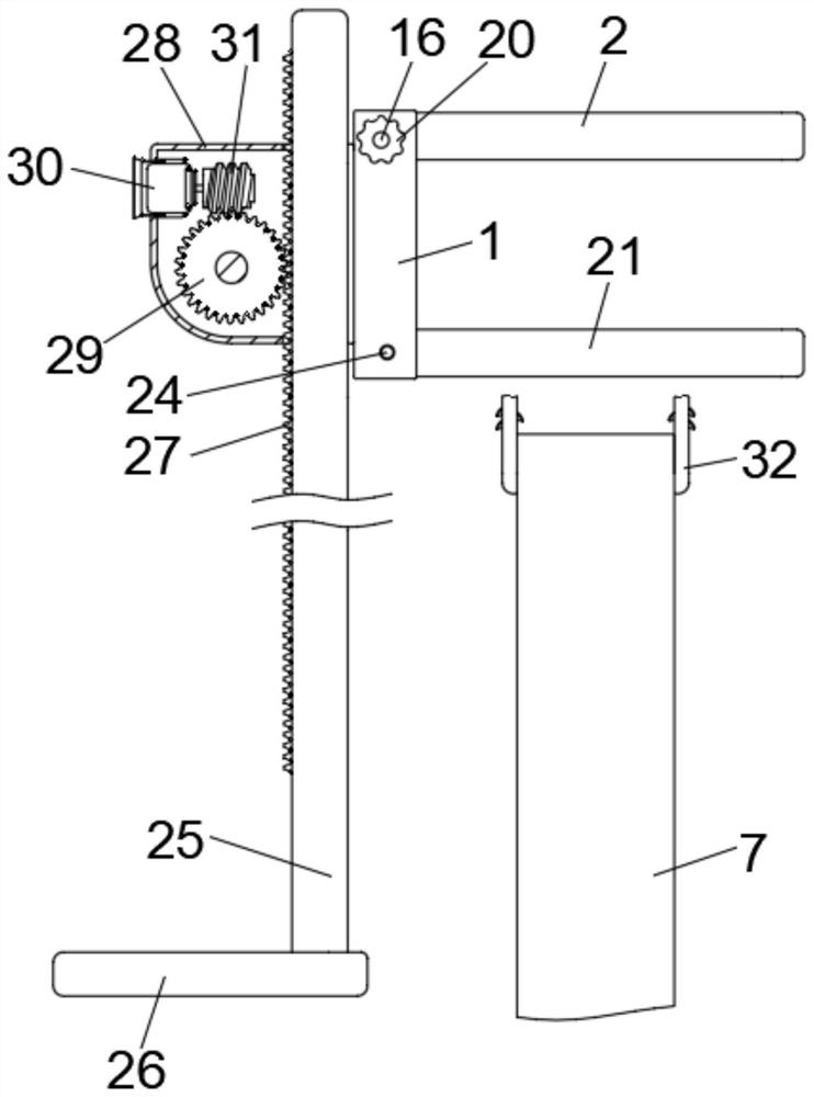 Fixing structure for grafting of tower crown elm and fixing method of fixing structure