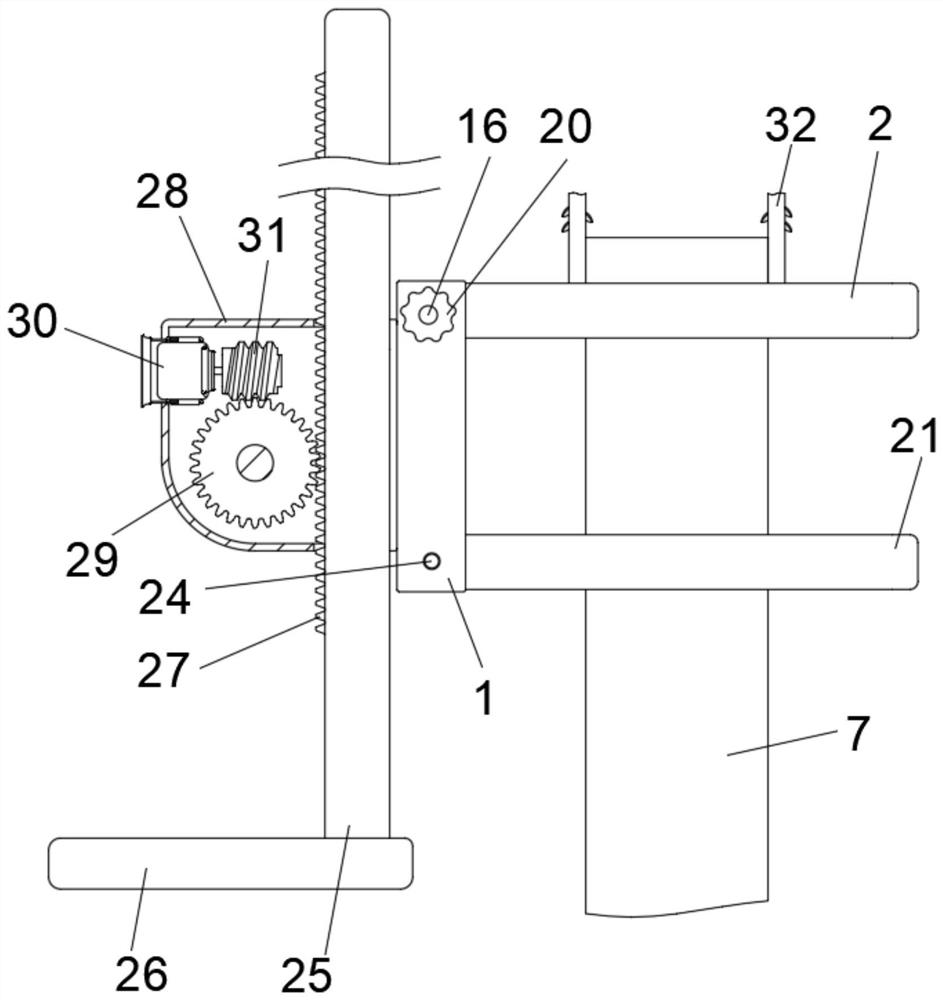 Fixing structure for grafting of tower crown elm and fixing method of fixing structure