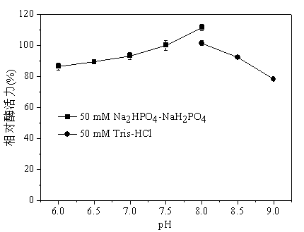 Penicillin acylase, as well as high-yield strain and application thereof