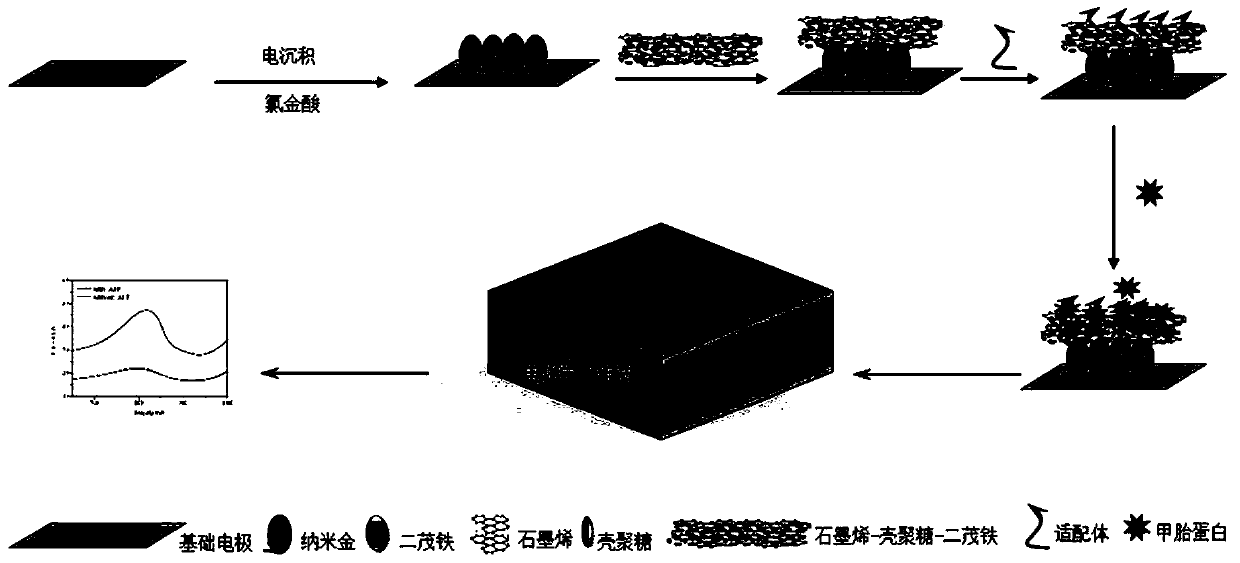 Method for detecting alpha-fetal protein on basis of RGO-CS-Fc/Au NPs nano composite material and aptamers