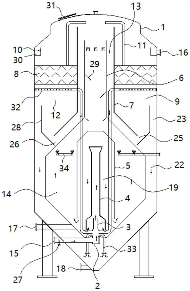 Multi-stage synergistic self-circulation anaerobic ammonia oxidation reaction device