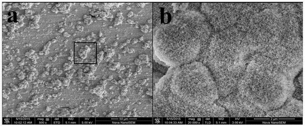 Preparation method and application of composite bone cement precursor, strontium borate bioglass/polymethyl methacrylate composite bone cement