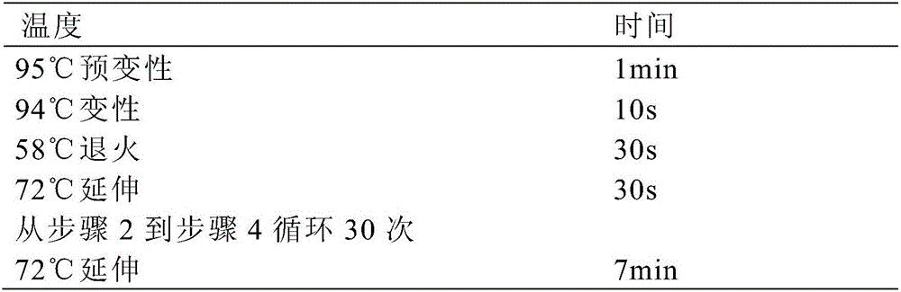 Preservation method of cotton bollworm sterol carrier protein-2