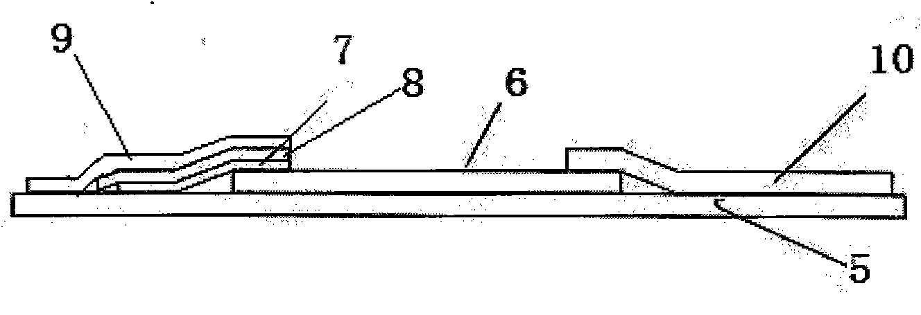 Two-channel detection card of troponin I and troponin T