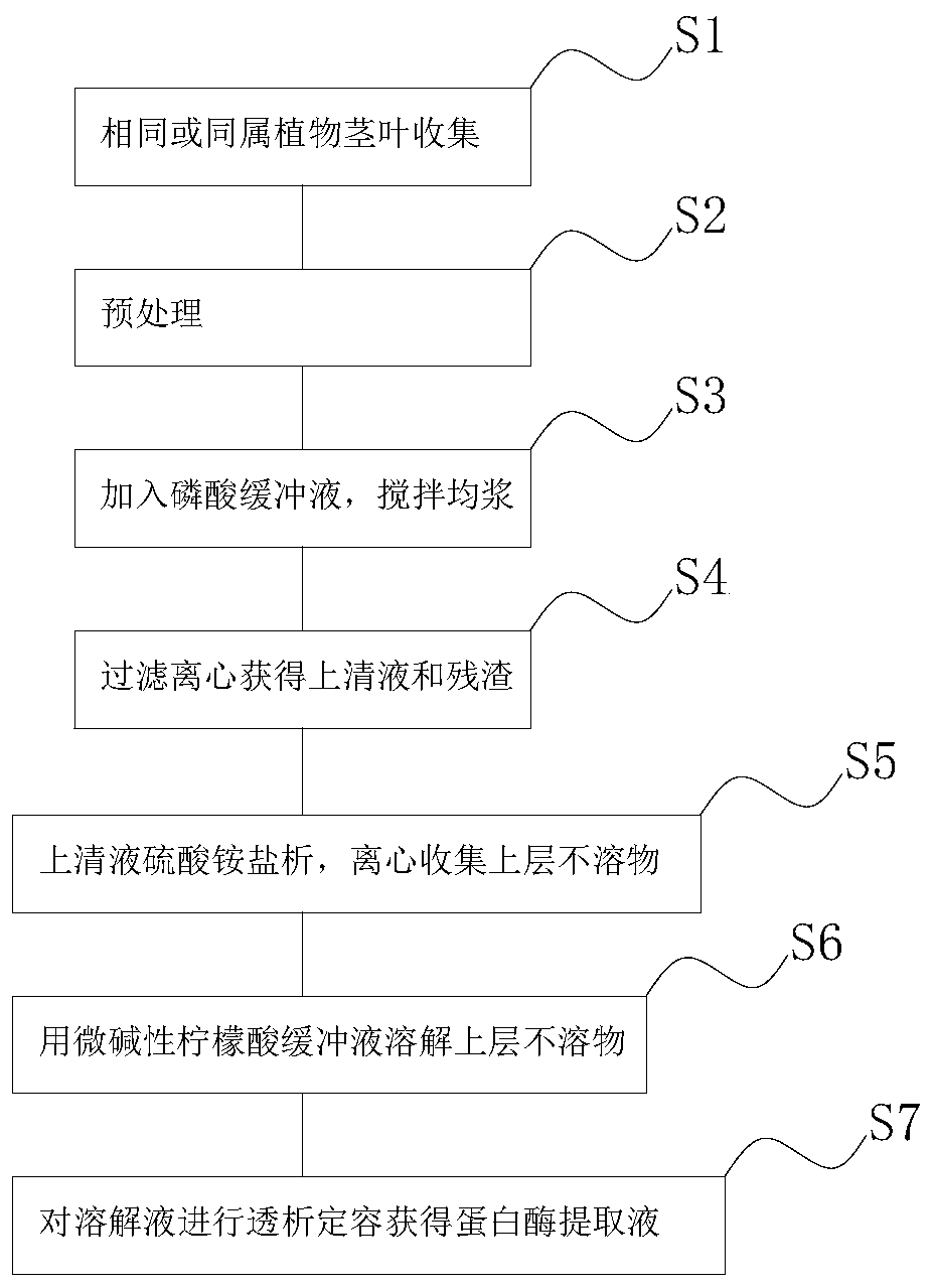 Method for producing protease for promoting growth of plant roots and fruits