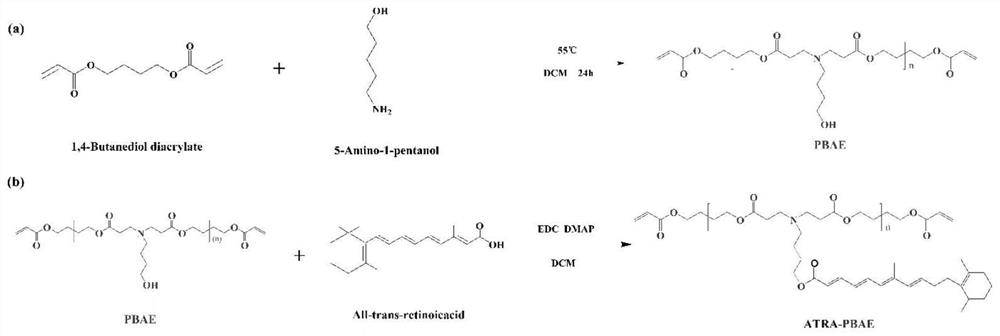 ATRA-PBAE prodrug copolymer as well as preparation method and application thereof